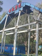 東河樂園