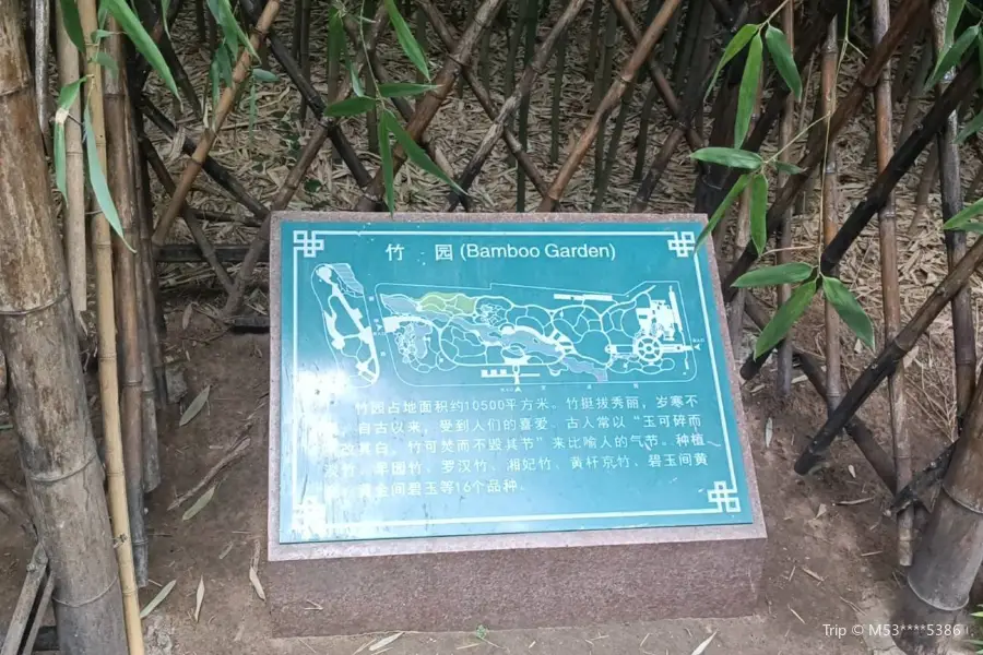 Bamboo Garden, Weifang Botanical Garden