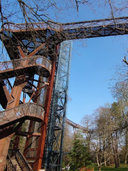 Treetop Walkway