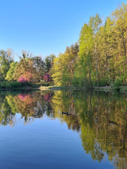 Park Zadole w Katowicach