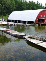 Milford Bay Trout Farm