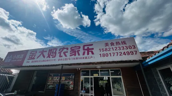 金大妈农家乐(森林公园店)