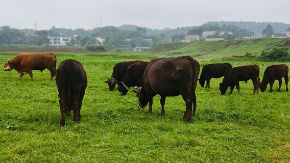 hu nan heng dong mi shui guo jia shi di gong yuan