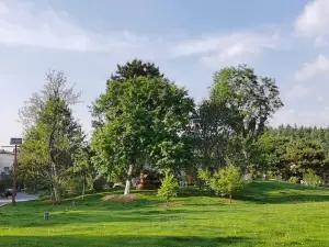 Xiangfu Manor