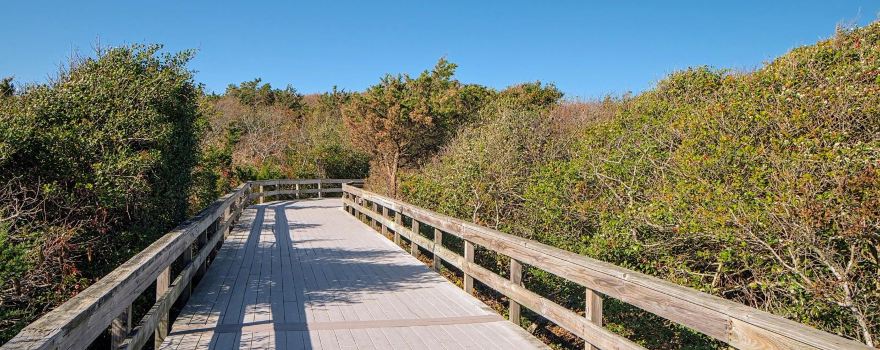Sayville Marina Park