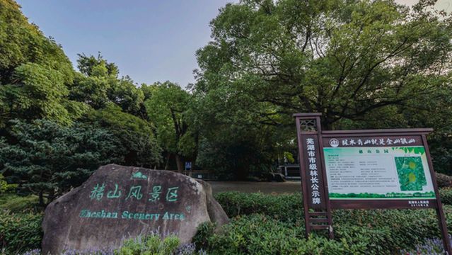 Mt. Zheshan Scenic Resort