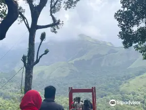 Glass Bridge 900 Kandi Wayanad