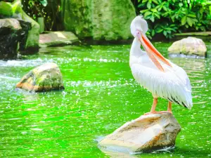 KL Bird Park