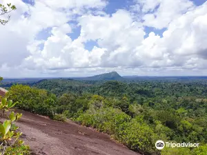 Riserva naturale del Suriname centrale