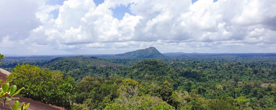 Riserva naturale del Suriname centrale