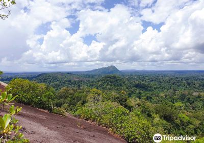 Central Suriname Nature Reserve