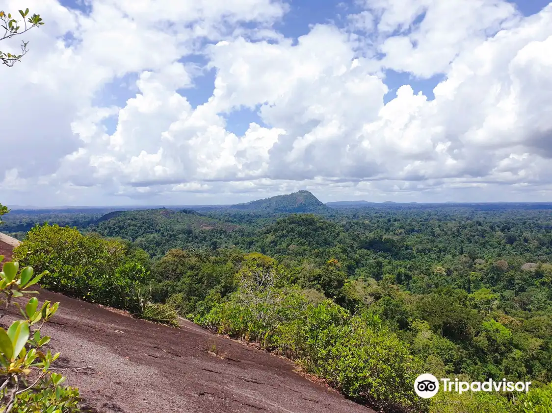 Hoteles cerca de Reserva Natural de Surinam Central