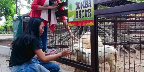 洛卡開心動物園