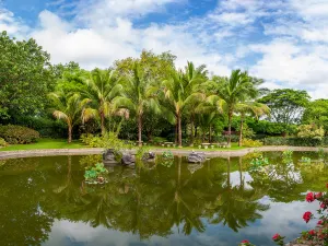 Tropical Flower Garden