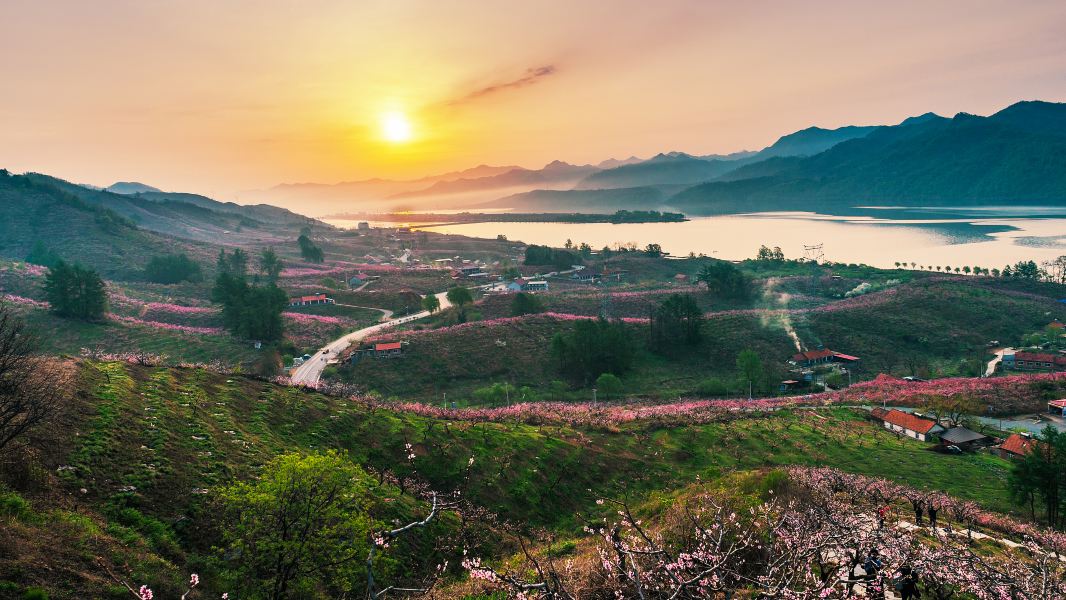 Koh Samui to Dandong Flights