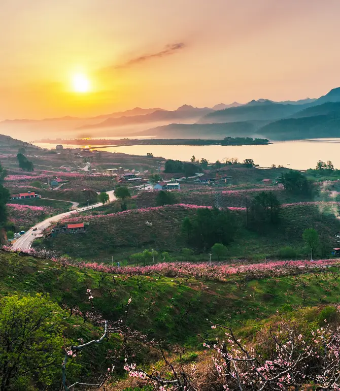 Dandong