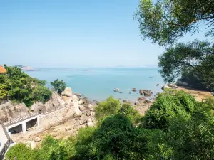 Jin Yin Dao