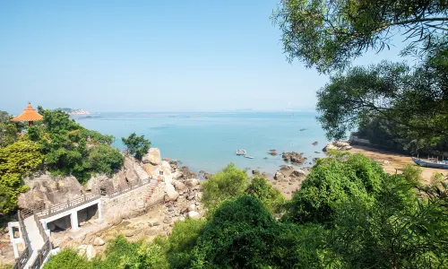 Jin Yin Dao