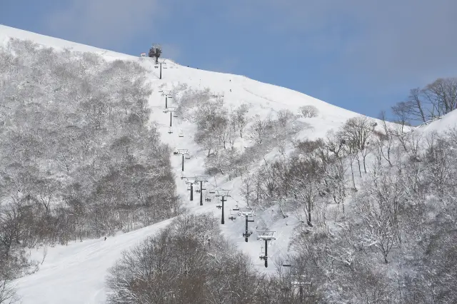Skiing in Nagano
