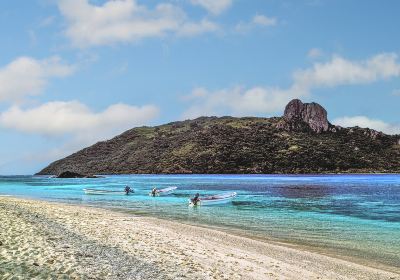 Wayasewa