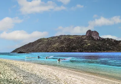 Wayasewa