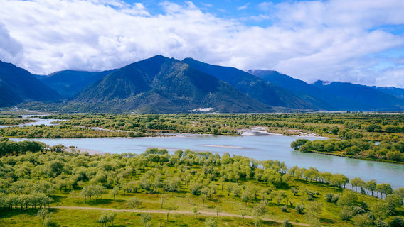Yani National Wetland Park
