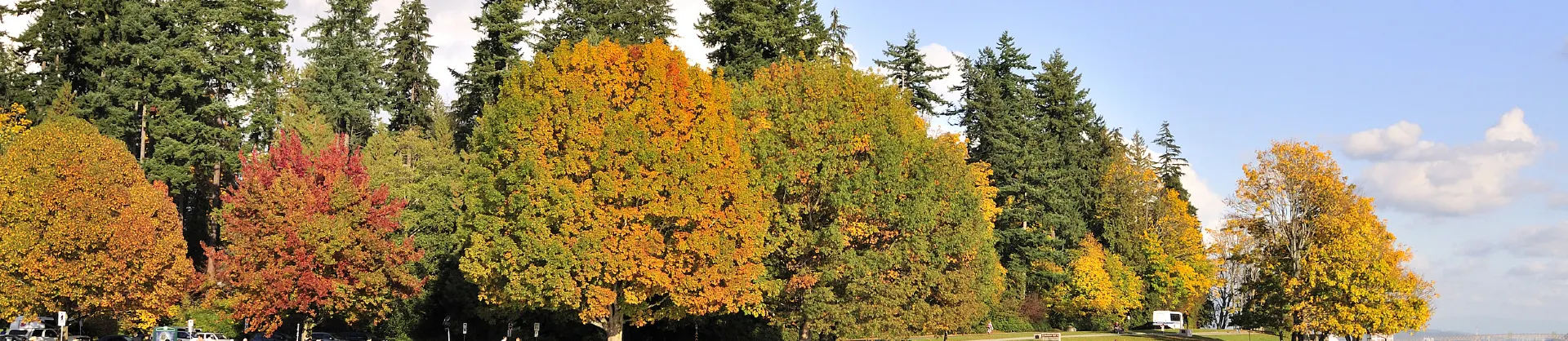 Attrazioni per la visione autunnale