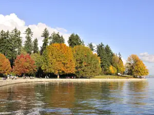 Top 20 Fall Viewing Attractions in British Columbia