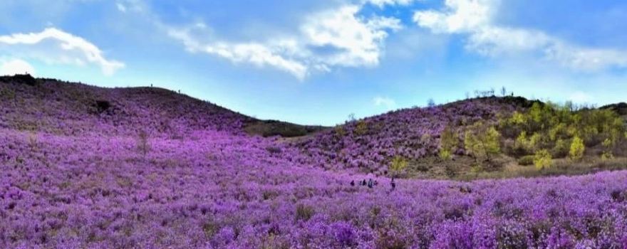 Azalea Mountain Scenic Area