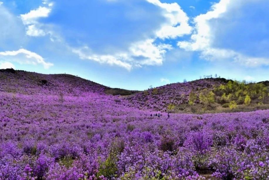 Azalea Mountain Scenic Area