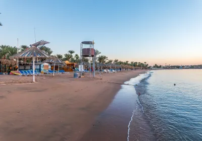 Naama Bay