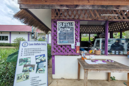 Buffalo Ice Cream & Cafe