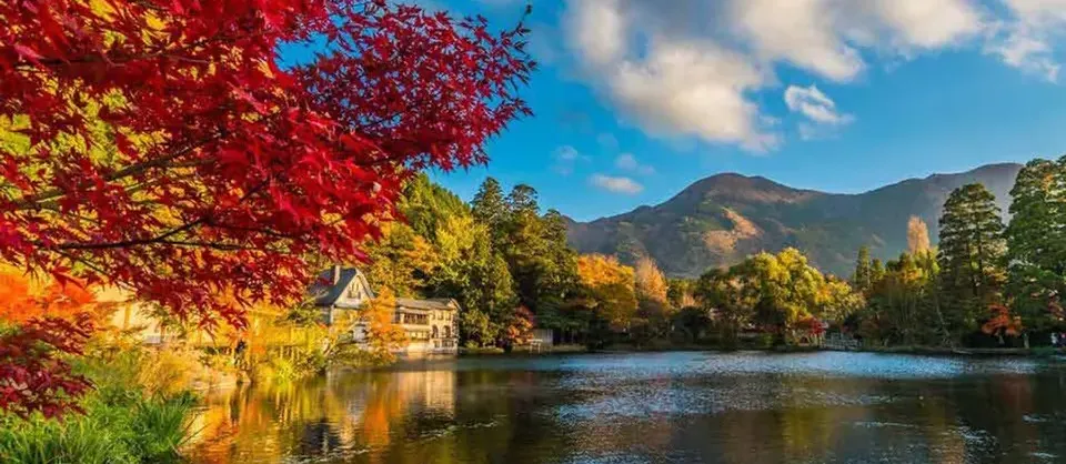 Fall Viewing Attractions