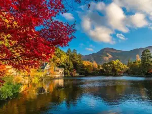 Popular Fall Viewing Attractions in Yufu