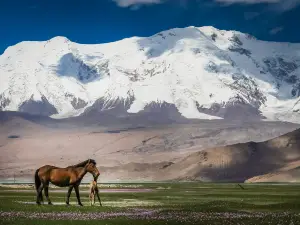 Khustain Nuruu