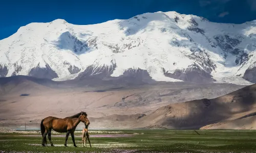 Nationalpark Chustain Nuruu