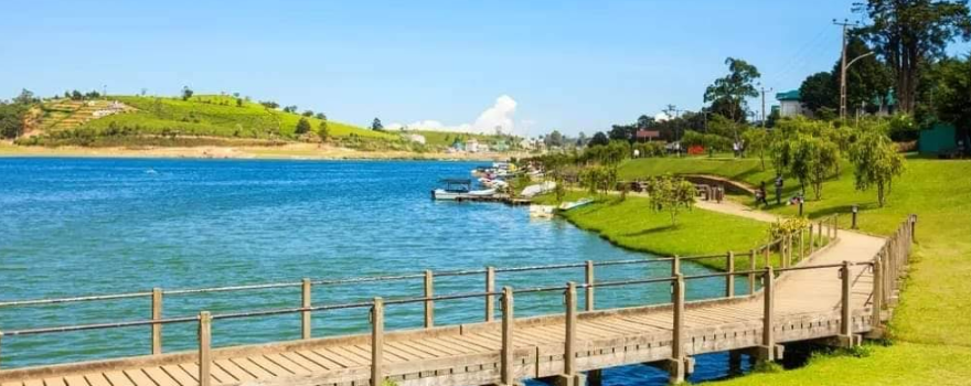 グレゴリー・パーク