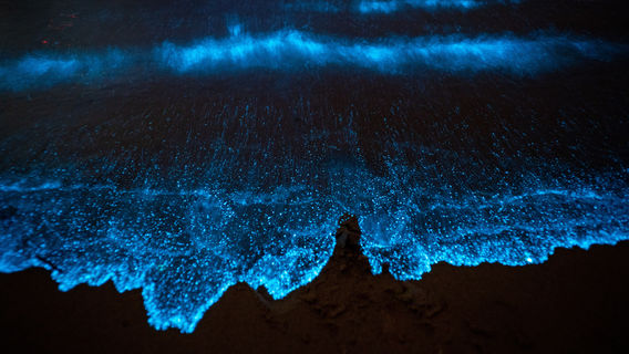 Moon Bay Blue Tears Beach