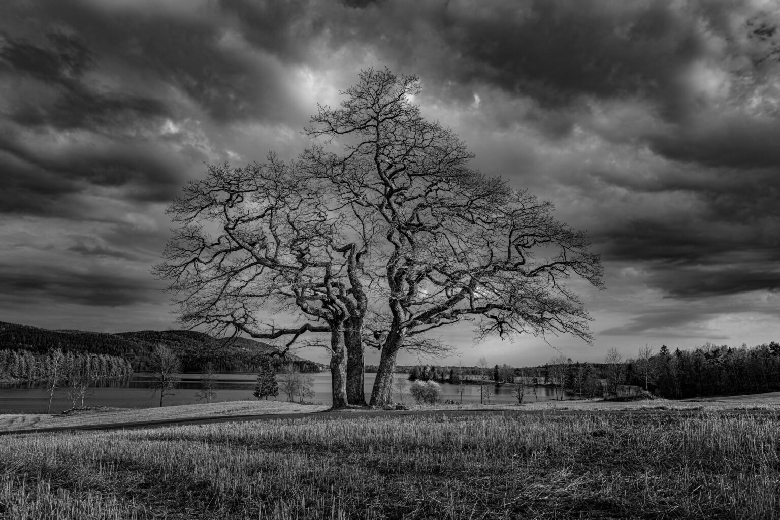 Cape Town Photography Festival | Cape Town