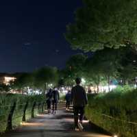 날씨 좋은 지금, 산책하러 이곳으로 