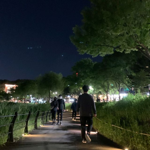 날씨 좋은 지금, 산책하러 이곳으로 