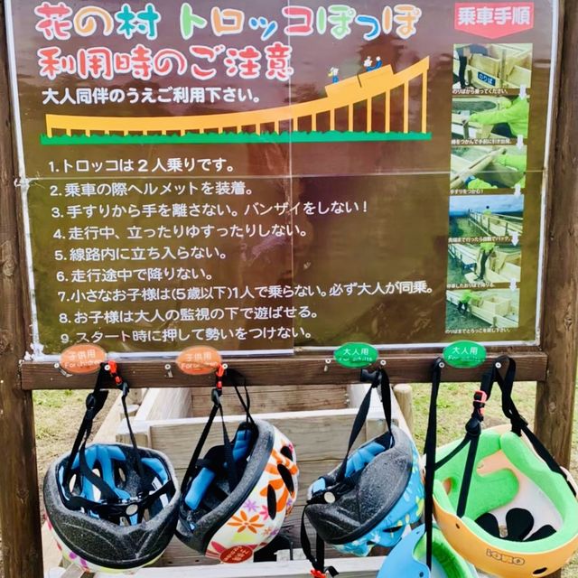 【大分】くじゅう花公園