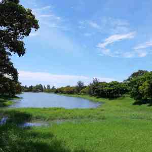 超美的台東森林公園這裡還有琵琶湖可以賞景色更可以騎自行車放鬆唷 Trip Com 台東旅遊攻略 超美的台東森林公園這裡還有琵琶湖可以賞景色更可以騎自行車放鬆唷 Trip Com 台東旅遊攻略