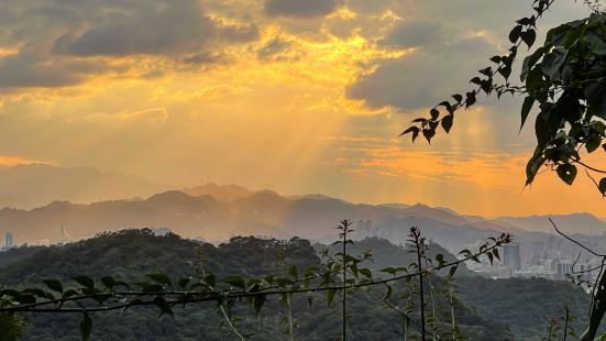 象山親山步道，因為距離 101 大樓很近，且近捷運站，所以成