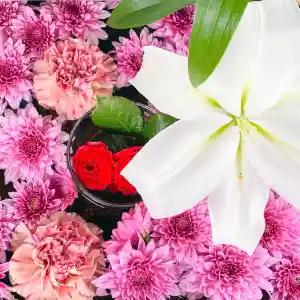 Tripメモリーで 花手水をチェック Trip Comトラベルガイド