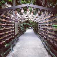 パワースポットー青島神社(宮崎)