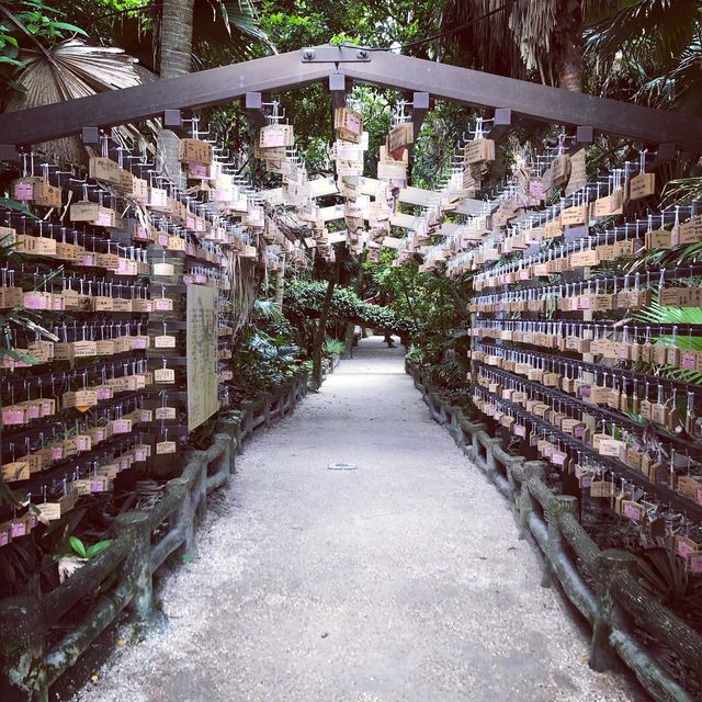 パワースポットー青島神社(宮崎)