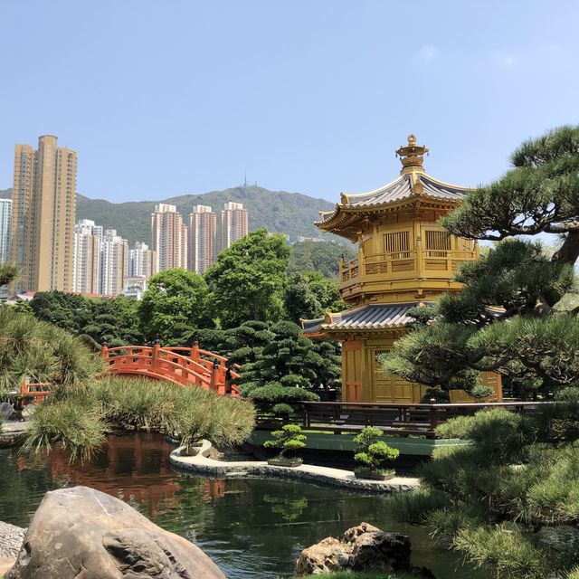 Quiet Paradise in the heart of Hong Kong