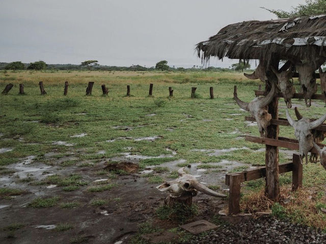 Baluran National Park