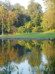 Giardino botanico "Anastasie Fătu"